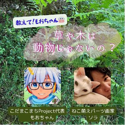 【コラボライブ】もおちゃん『草や木は動物じゃないの？』
