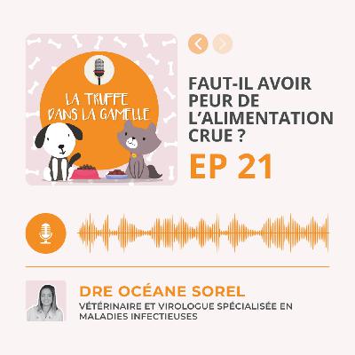 Faut-il avoir peur de l’alimentation crue ?