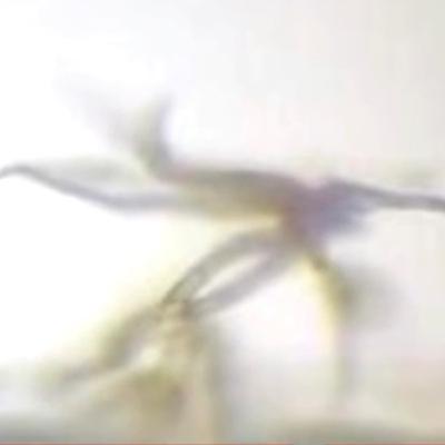 Lo que dije hace ańos ya lo comprobaron. Lo que dije hace ańos ya lo comprobaron.