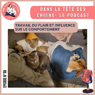 Travail du flair et influence sur le comportement de votre chien