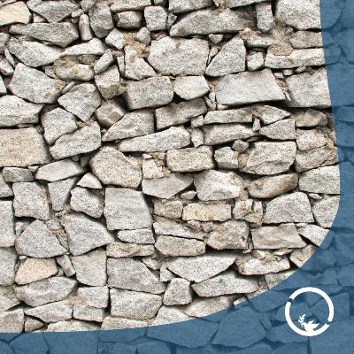 #93 Nowa i stara pieśń, nowe i stare wino