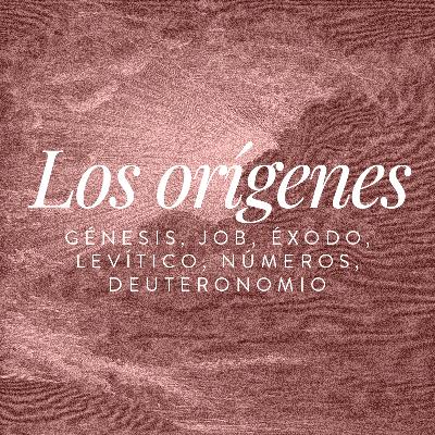 Día 4 | Job capítulos 1-5