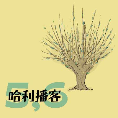 B2Ch5-6. 打人柳 + 吉德罗·洛哈特