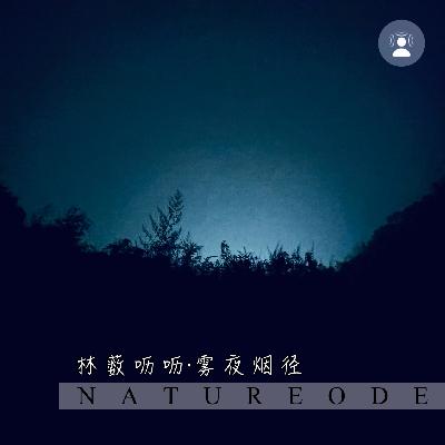 林薮呖呖·雾幕烟径