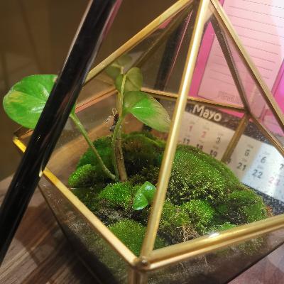 Curiosidades del Día: Me ganó el tiempo 😱 Curiosidades del Día: Me ganó el tiempo 😱