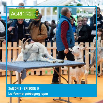 La ferme pédagogique