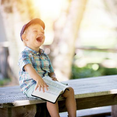 Wunderbare Freude, wunderbare Nacht (Dr. Andreas Lange)