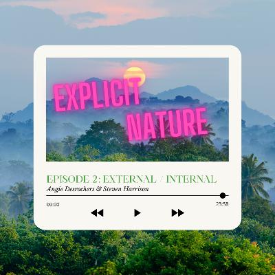 External vs. Internal Accountability External vs. Internal Accountability