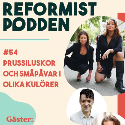 #54 Prussiluskor och småpåvar i olika kulörer