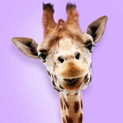 Ep. 7 — curiosidades sobre países Ep. 7 — curiosidades sobre países