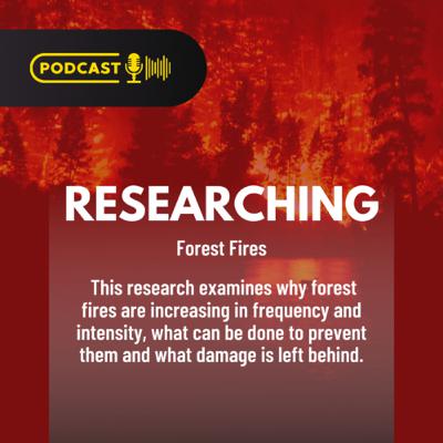 Researching Forest Fires