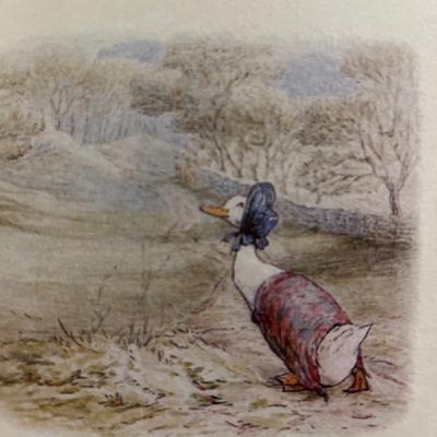 A História de Jemima Patapocinha A História de Jemima Patapocinha