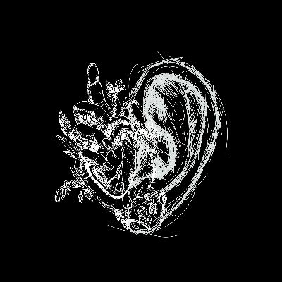 الحلقة الرابعة والأخيرة | التدخين وصحة القلب