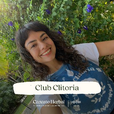 Maria Nela: Pasión por Clitoria ternatea en un jardín encantado.