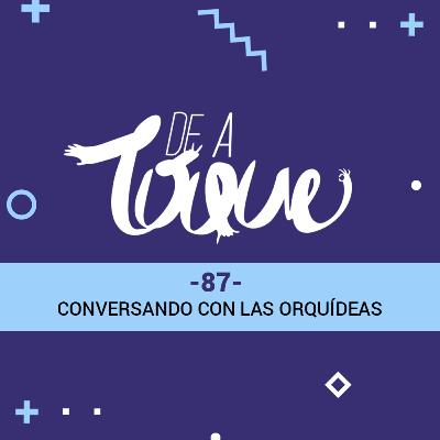 De a Toque #87 Hablando con las orquídeas