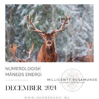 2024 | Numerologisk energi i december måned i år 2024 2024 | Numerologisk energi i december måned i år 2024