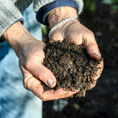 Beyond peat
