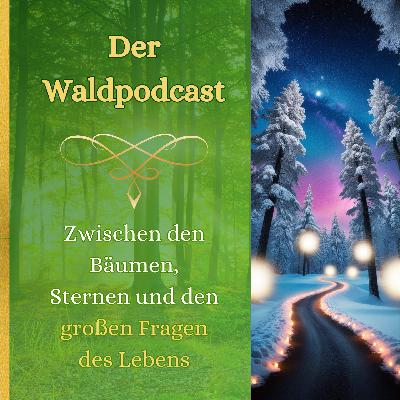 Zwischen den Bäumen, Sternen und den großen Fragen des Lebens Zwischen den Bäumen, Sternen und den großen Fragen des Lebens