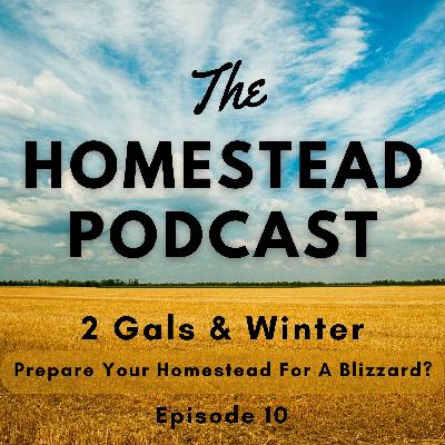 Ep. 10 - A Winter Storm is Coming.  Will Your Animals Survive? - 2 Gals and Winter