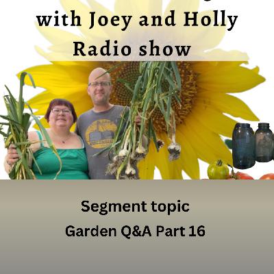 Episode 1550: Seg 3 of S10E10 Garden questions and Answers part 16 - The Gardening with Joey and Holly Radio Show Episode 1550: Seg 3 of S10E10 Garden questions and Answers part 16 - The Gardening with Joey and Holly Radio Show