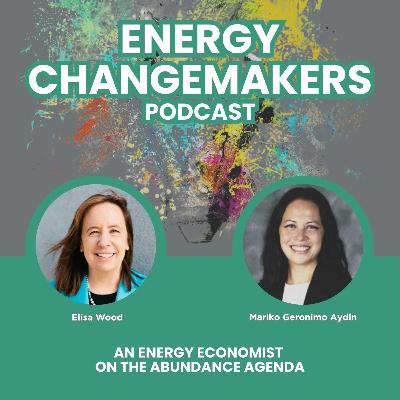 An Energy Economist on the Abundance Agenda An Energy Economist on the Abundance Agenda