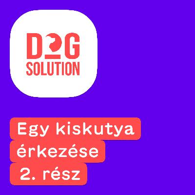 Dog Solution #08 - Egy kiskutya érkezése (2. rész) Dog Solution #08 - Egy kiskutya érkezése (2. rész)