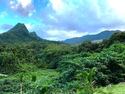 The Conversation: Oʻahu water resources; Preserving Maunawili Valley The Conversation: Oʻahu water resources; Preserving Maunawili Valley