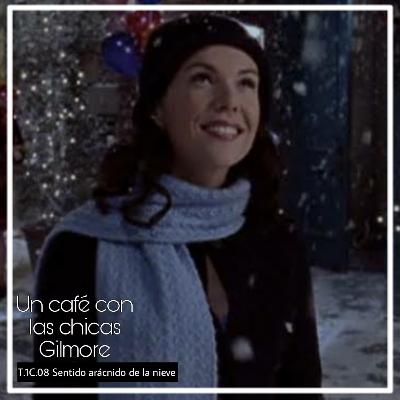 T.1C.08 Sentido arácnido de la nieve