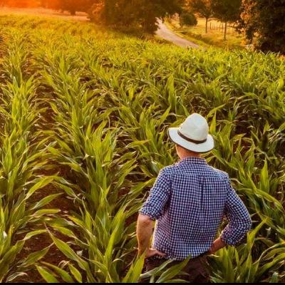 DERECHO PROCESAL AGRARIO