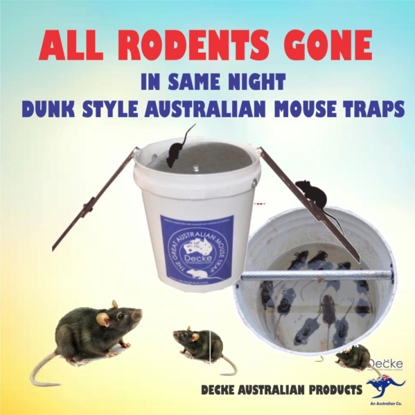 5 Advantages of Mouse Bucket Trap - Decke Global