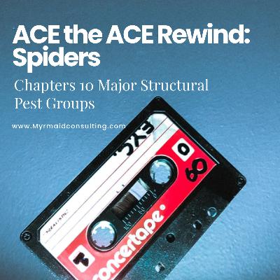 ACE Mixed Tape Rewind: Spiders