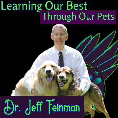 Our Pets Can Teach Us About Mental Health with Dr. Jeff Feinman