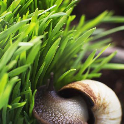 #7: квір, міграція та війна (ч. 1)