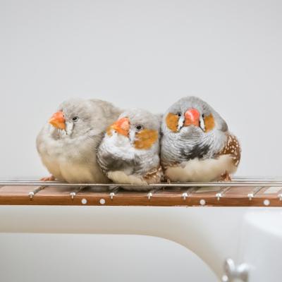 48: From Here To Ear