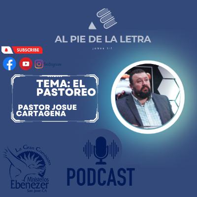 Tema : El Pastoreo