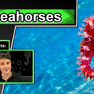 Seahorse Facts | 10 Animal Facts about Seahorses Seahorse Facts | 10 Animal Facts about Seahorses