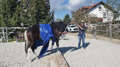 Folge 10: Gelassenheitstraining