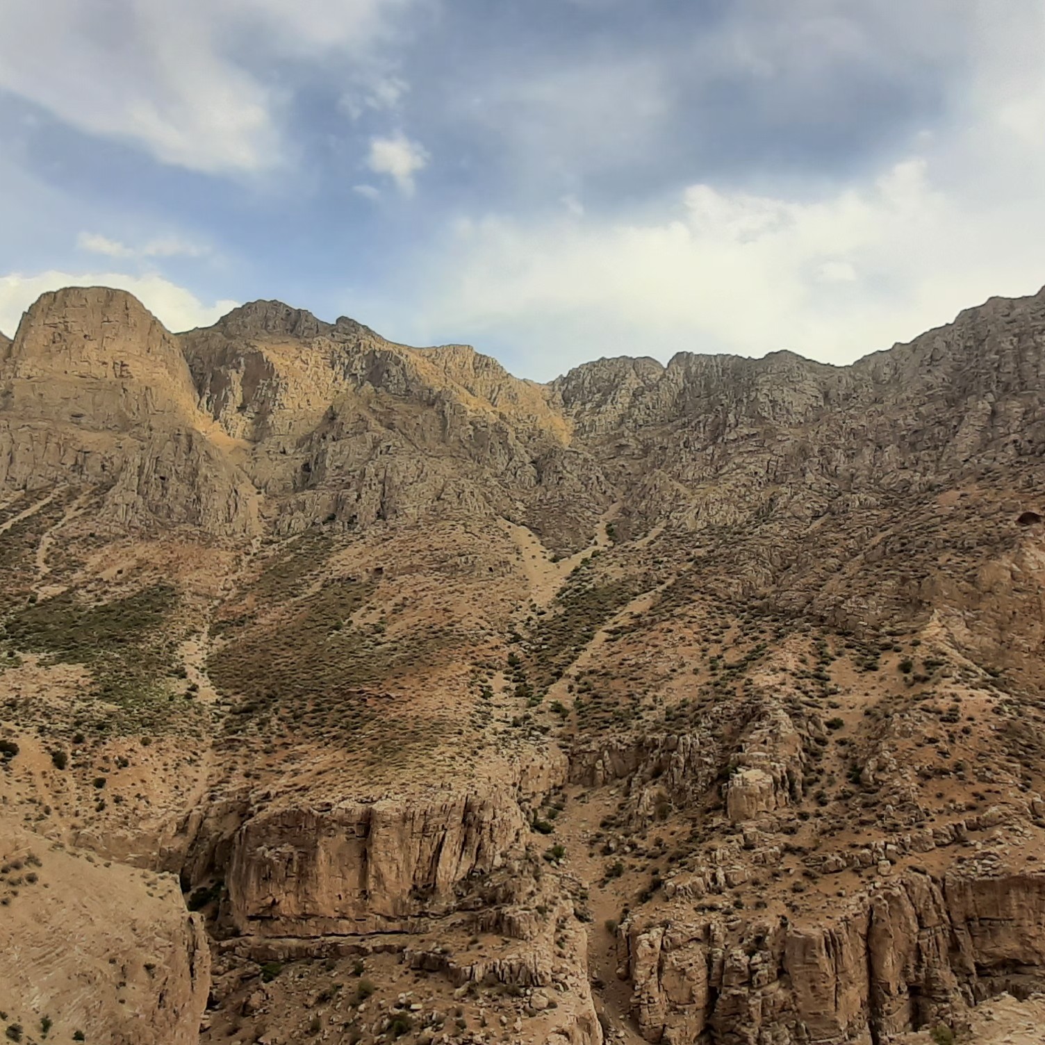 زمین