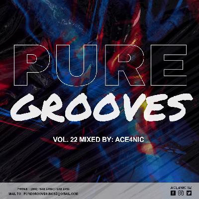 Pure Grooves Vol.22 Mixed By.ACE4NIC [Apr'23 Heavyhittz]