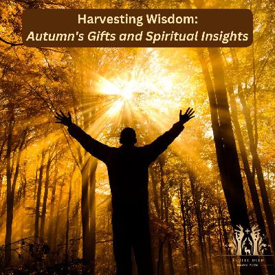 Harvesting Wisdom: Autumn's Gifts and Spiritual Insights