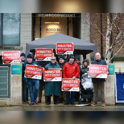 IFA ends sit-in protest after Bord Bia agree to review