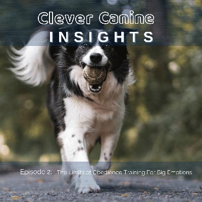 The Limits of Obedience Training For Big Emotions