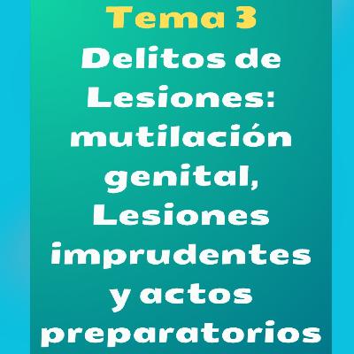Delitos de lesiones :Continuación tema 3 Delitos de lesiones :Continuación tema 3