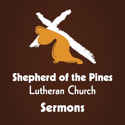Pastor Dave Strohschein Sermon 11.5.23 "Heavenly 'Q and A' "