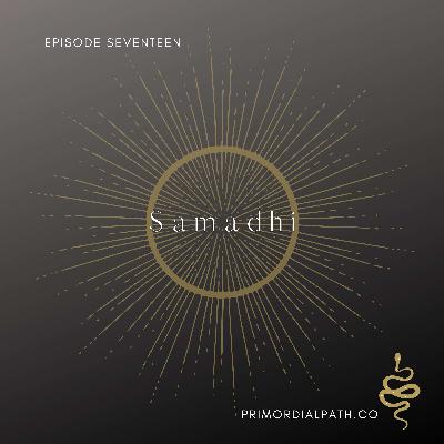 The 8 Limbs: Samadhi