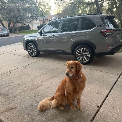 #320: Guacamole Anxiety