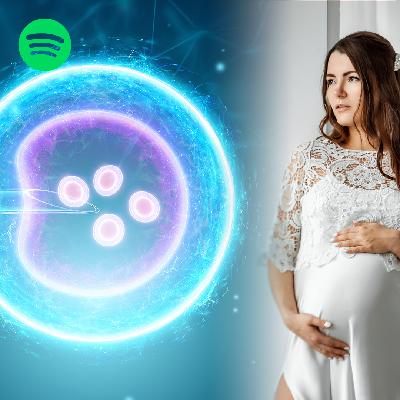 Kinderwunsch & IVF