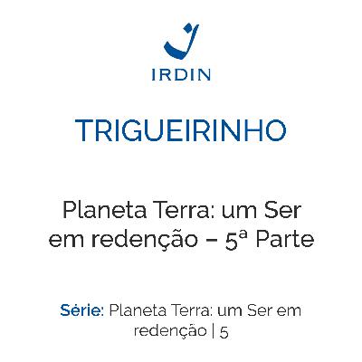 Planeta Terra: um Ser em redenção – 5ª Parte