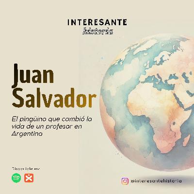 Juan Salvador: El pingüino que cambió la vida de un profesor en Argentina Juan Salvador: El pingüino que cambió la vida de un profesor en Argentina