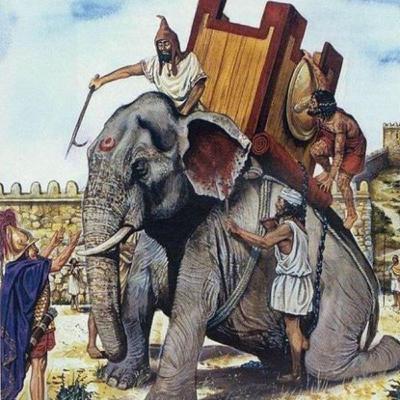 Histoire du soir : Al Fiil (l'éléphant) Histoire du soir : Al Fiil (l'éléphant)